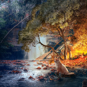 Copy of Fall Composite v5 Small