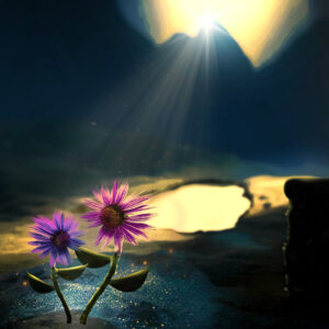 Copy of Safe Space Social